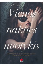 Vienos nakties nuotykis